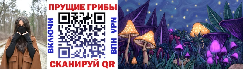 Купить закладки  Аркадак  Псилоцибиновые грибы Psilocybe 